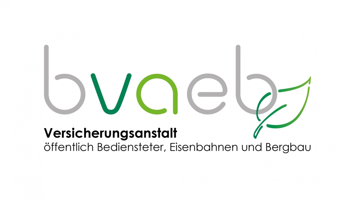 BVAEB Logo